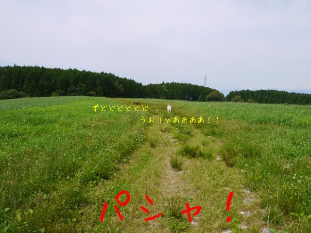 f0177261_9133564.jpg