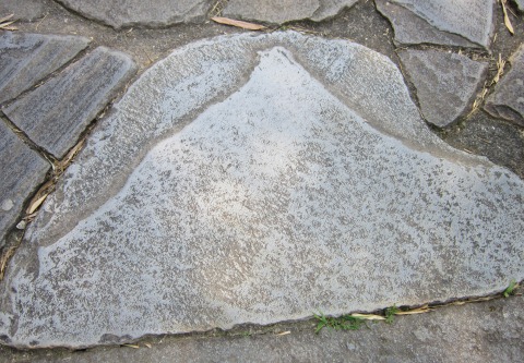 d0126574_2319358.jpg