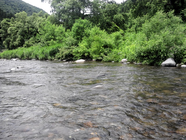 a0093677_11555635.jpg