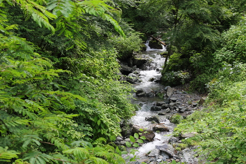 d0056777_23533515.jpg