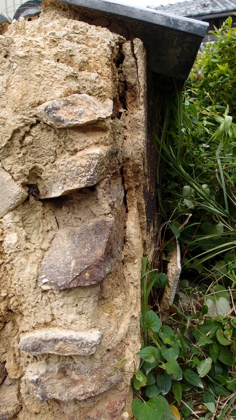 e0024081_1936041.jpg