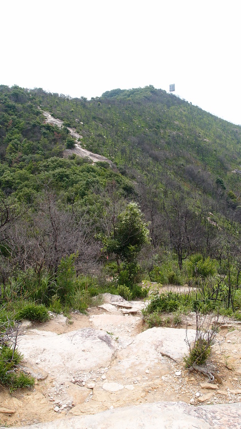 e0024081_19533415.jpg