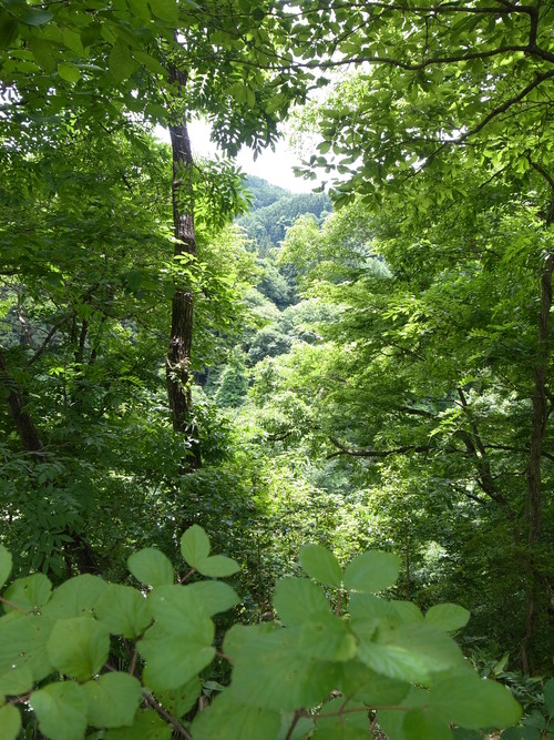 c0188784_9382628.jpg