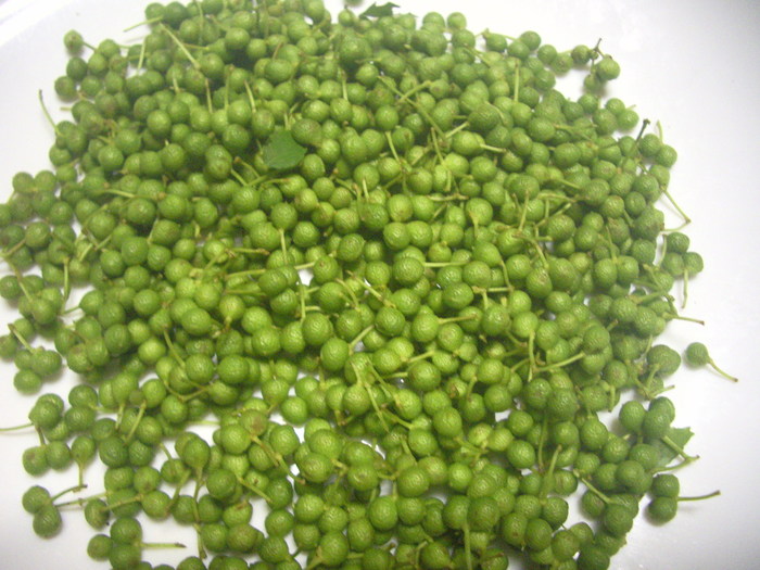 e0185092_20494820.jpg