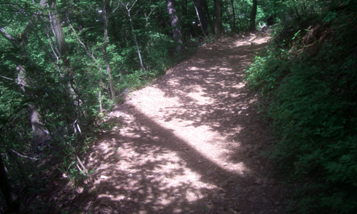 b0099994_17581684.jpg