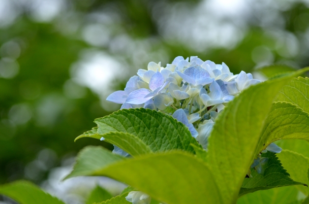 f0233999_16355.jpg