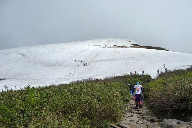 e0137200_2364030.jpg