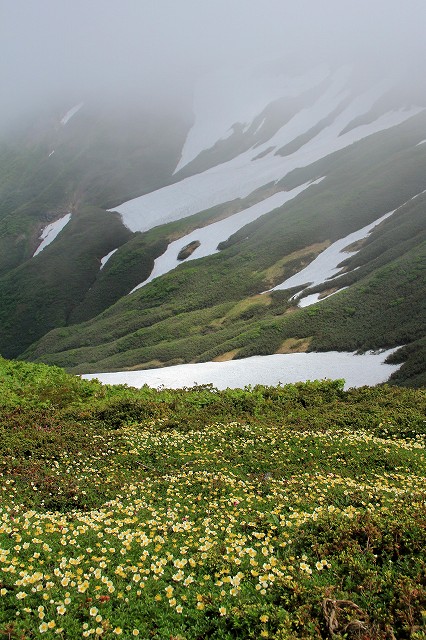 e0137200_2375697.jpg