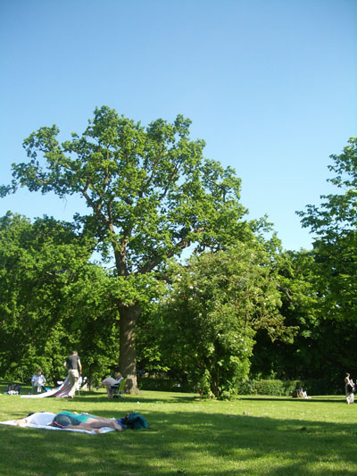 f0188600_4335874.jpg