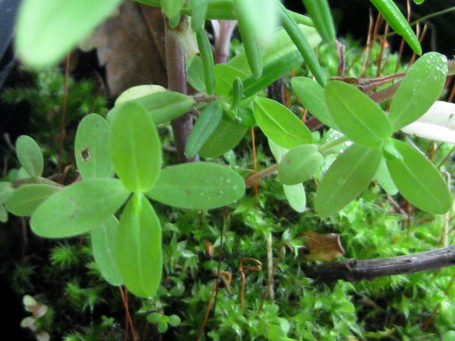 f0236201_8263138.jpg