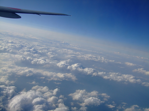 a0099804_16242182.jpg
