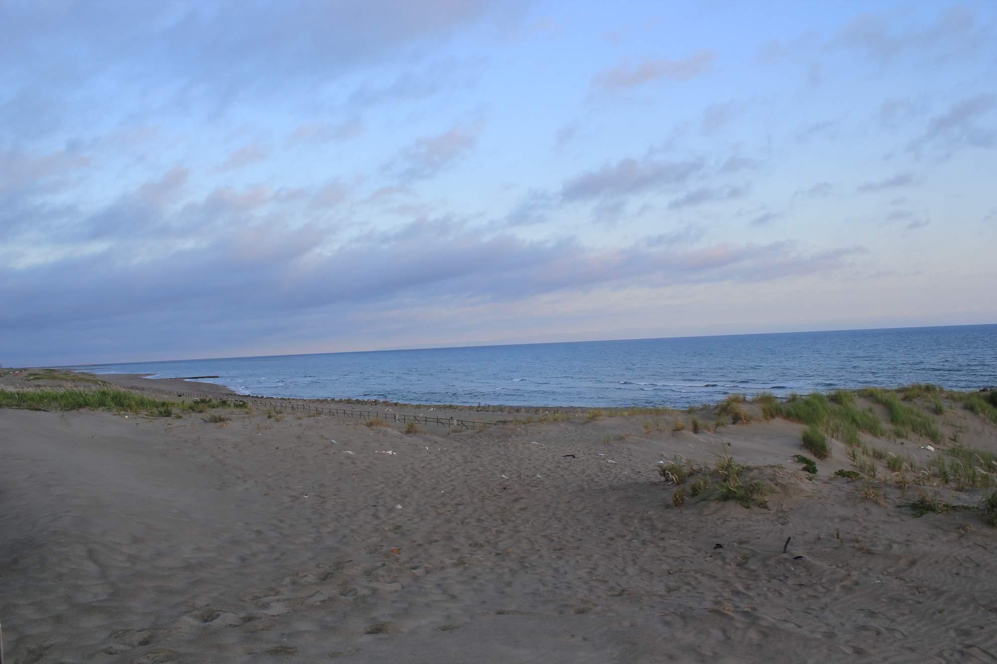 a0264604_723992.jpg
