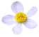 a0127005_11223548.png