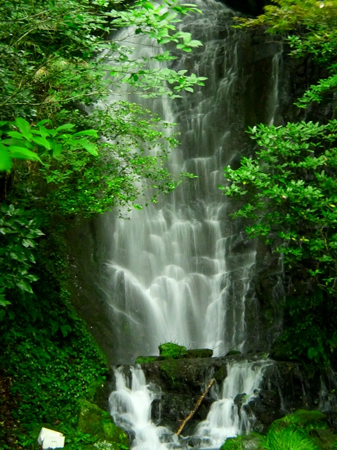 a0097006_21583144.jpg