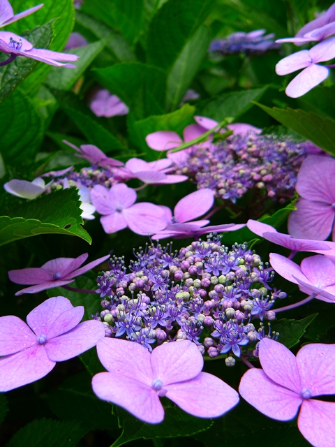 a0097006_2224277.jpg