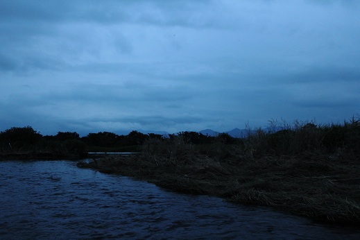 e0123808_0235425.jpg