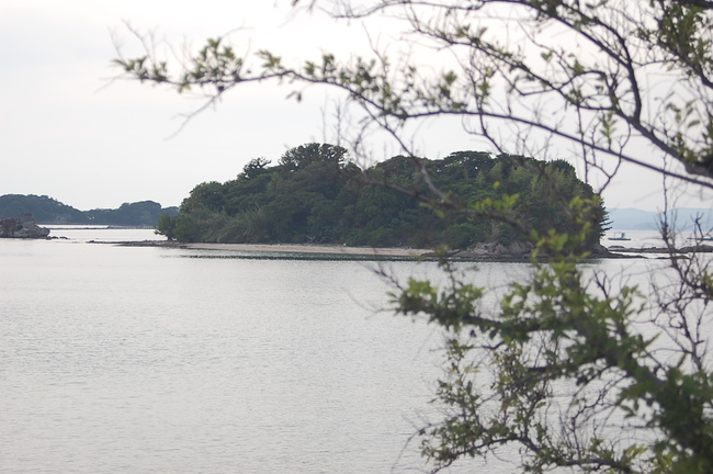 e0258208_2014772.jpg
