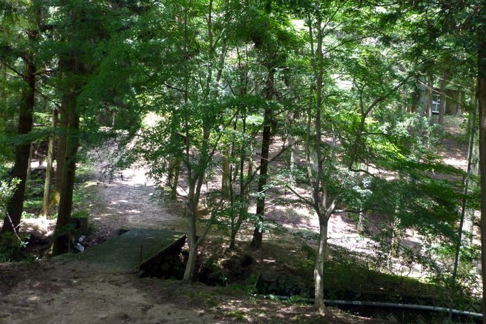 b0130112_22353361.jpg