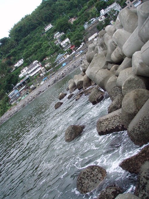 b0121015_12454764.jpg