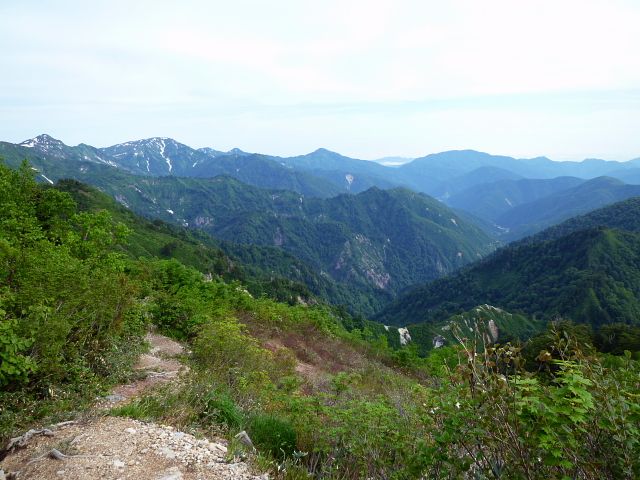 d0170615_8321922.jpg