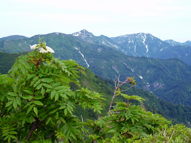 d0170615_832479.jpg