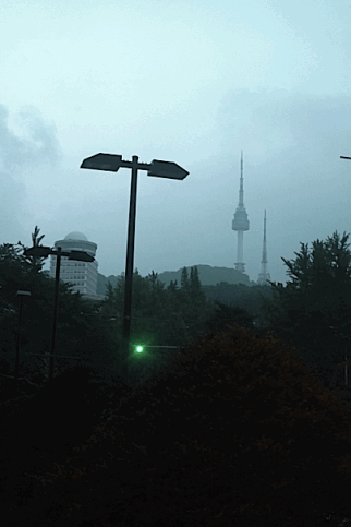 e0157816_924571.gif