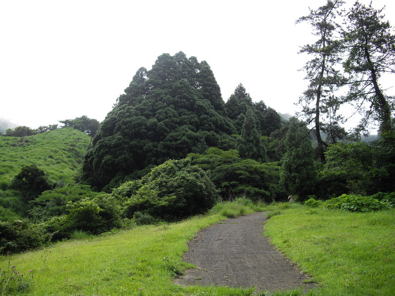 d0022918_2105716.jpg