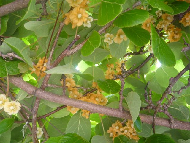e0111220_14283939.jpg