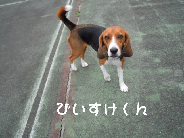 c0166622_21491068.jpg