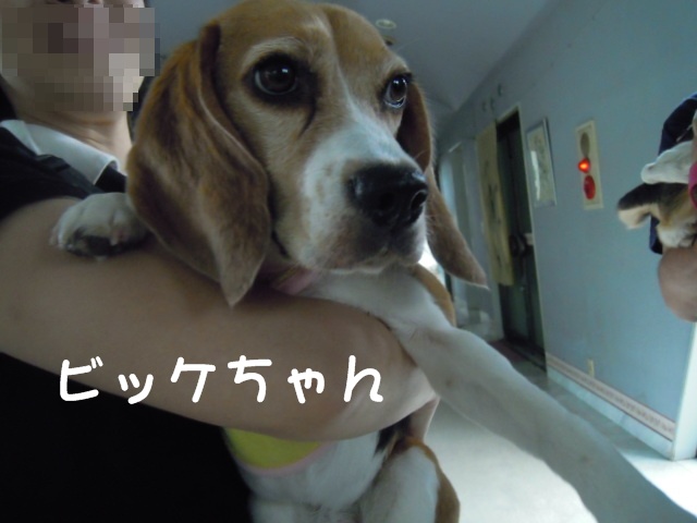c0166622_21502996.jpg
