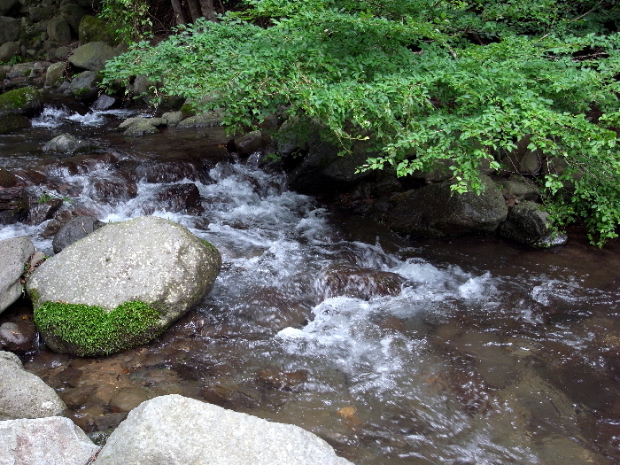 f0103126_217438.jpg