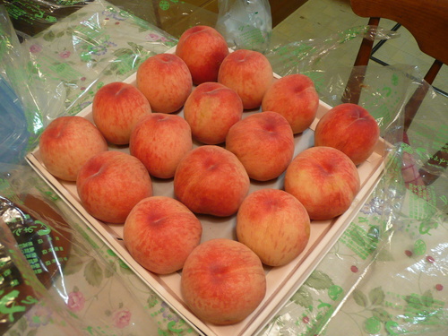 c0009528_22255134.jpg