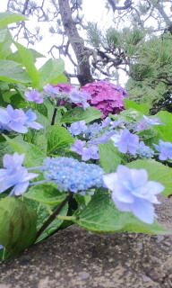 f0193429_0215679.jpg