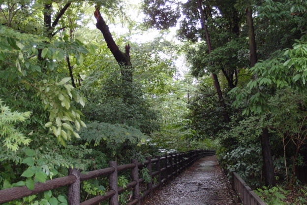 f0231829_1158498.jpg