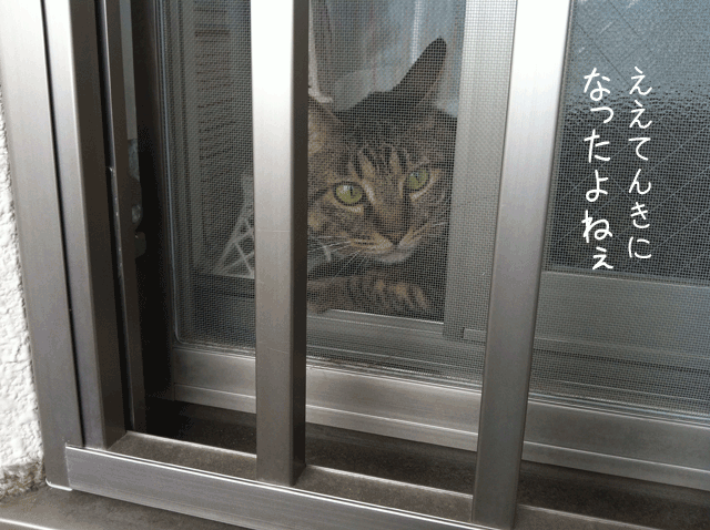 f0116546_15222644.gif