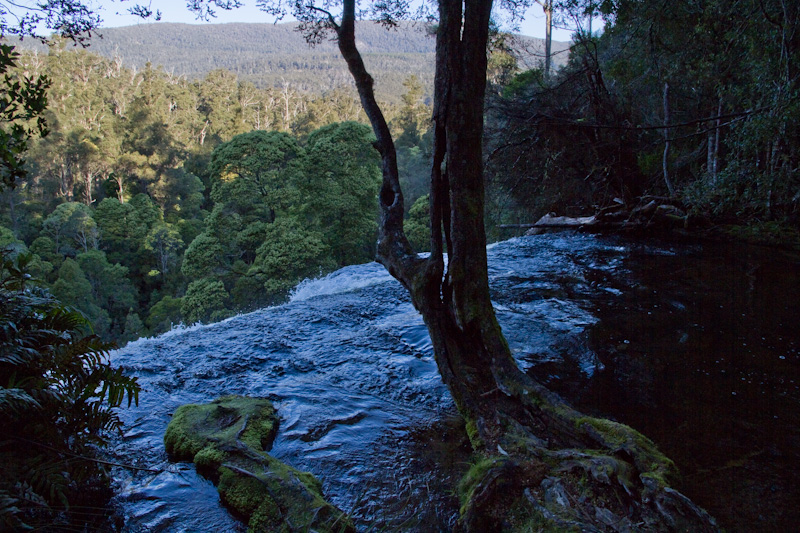 f0137354_15524694.jpg