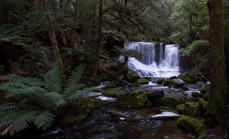 f0137354_1553152.jpg