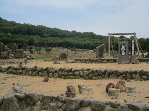 d0055259_20101389.jpg