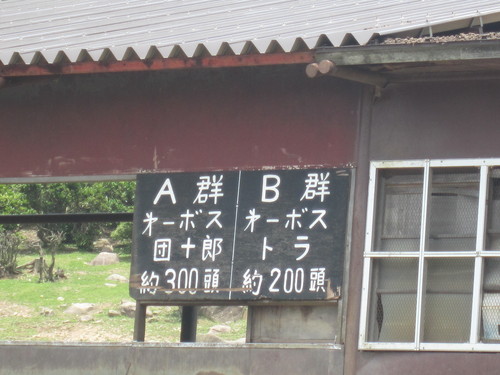 d0055259_20115020.jpg