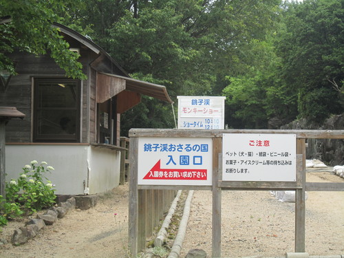 d0055259_20201313.jpg