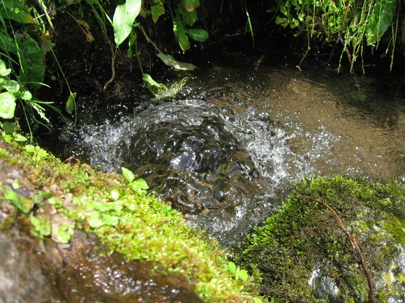 b0218664_8584918.jpg