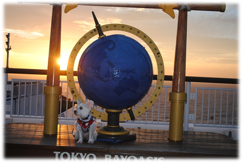 b0242873_122456.png
