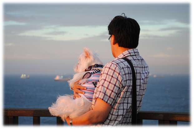 b0242873_1253025.png