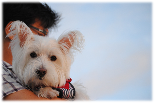 b0242873_128824.png