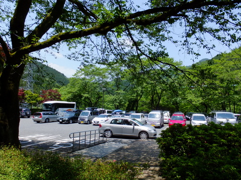a0043982_16493445.jpg