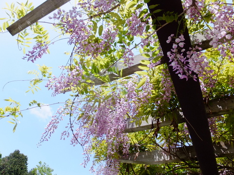 a0043982_16502796.jpg