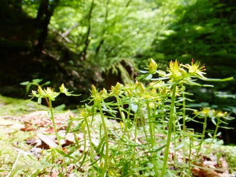 a0043982_16521164.jpg