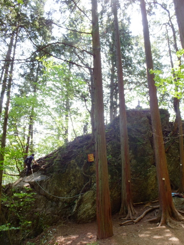 a0043982_16534493.jpg