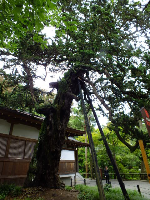 e0145782_2120321.jpg