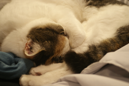 f0166982_2331739.jpg